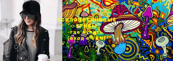 спайс Няндома