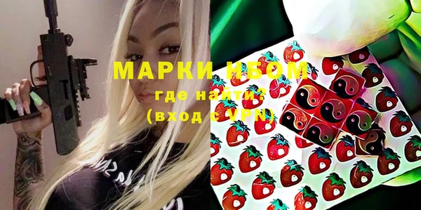 спайс Няндома